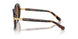 100273 - Tortoise - Dark Brown