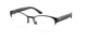 Polo 1238 Eyeglasses