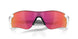 920602 - Matte White - Slate Iridium
