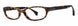 Republica Palma Eyeglasses