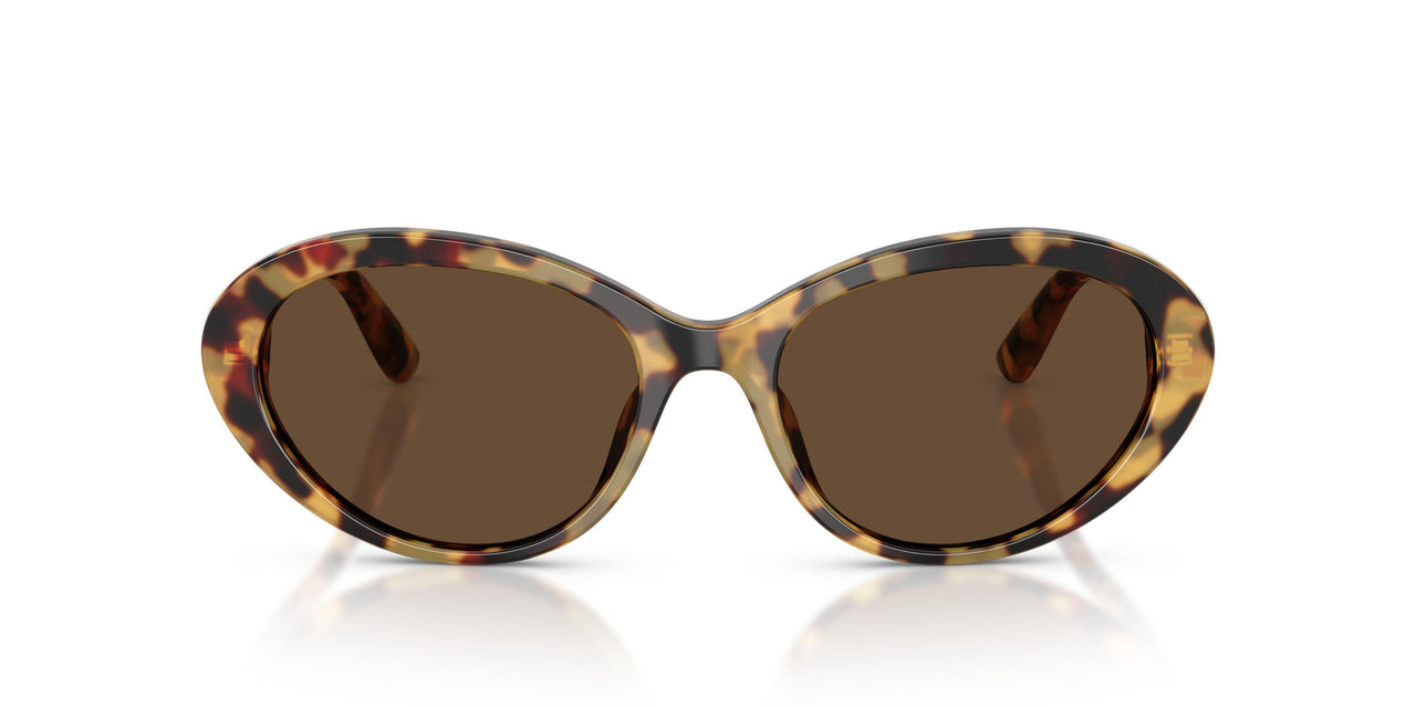 512/73 - Tortoise - Dark Brown