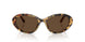 512/73 - Tortoise - Dark Brown