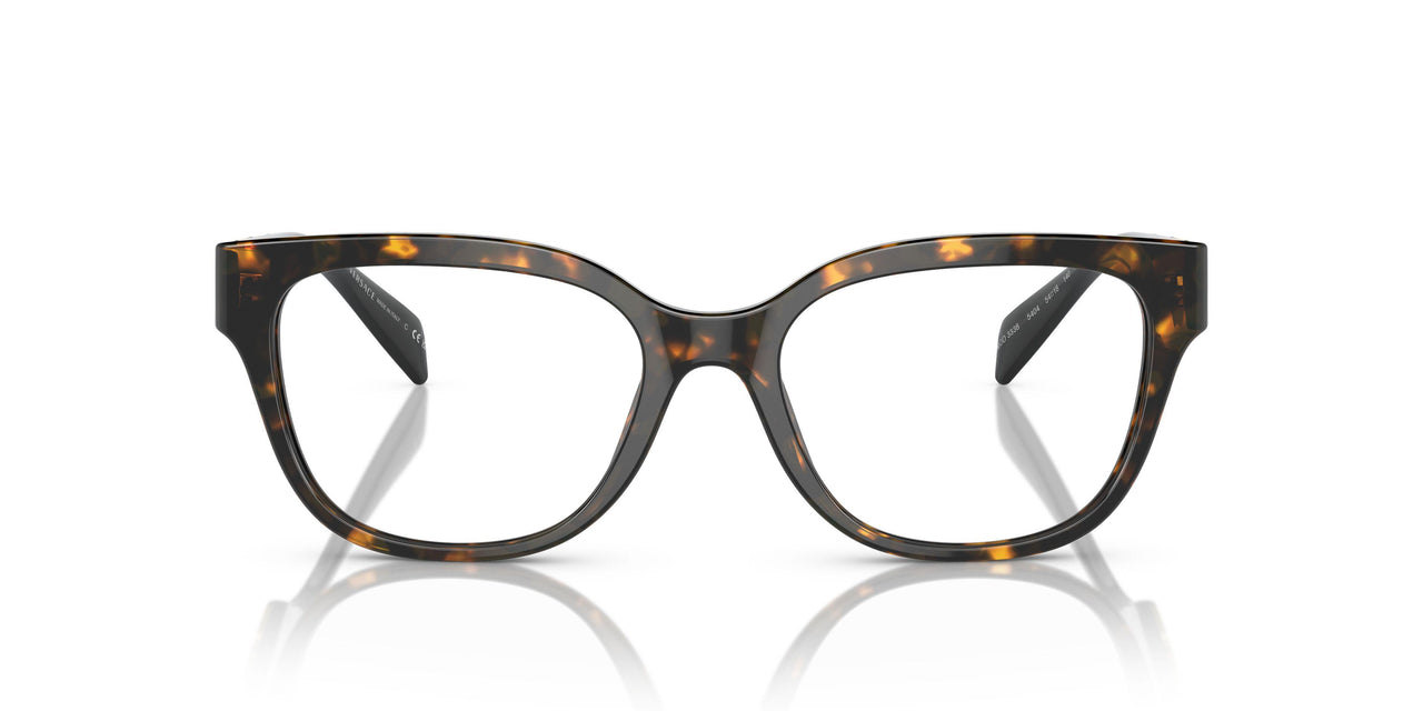 5404 - Tortoise