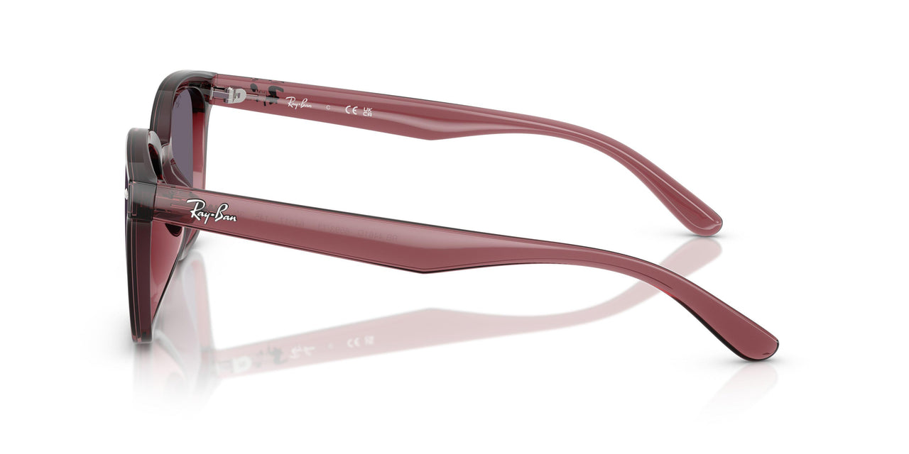 659373 - Brown - Violet