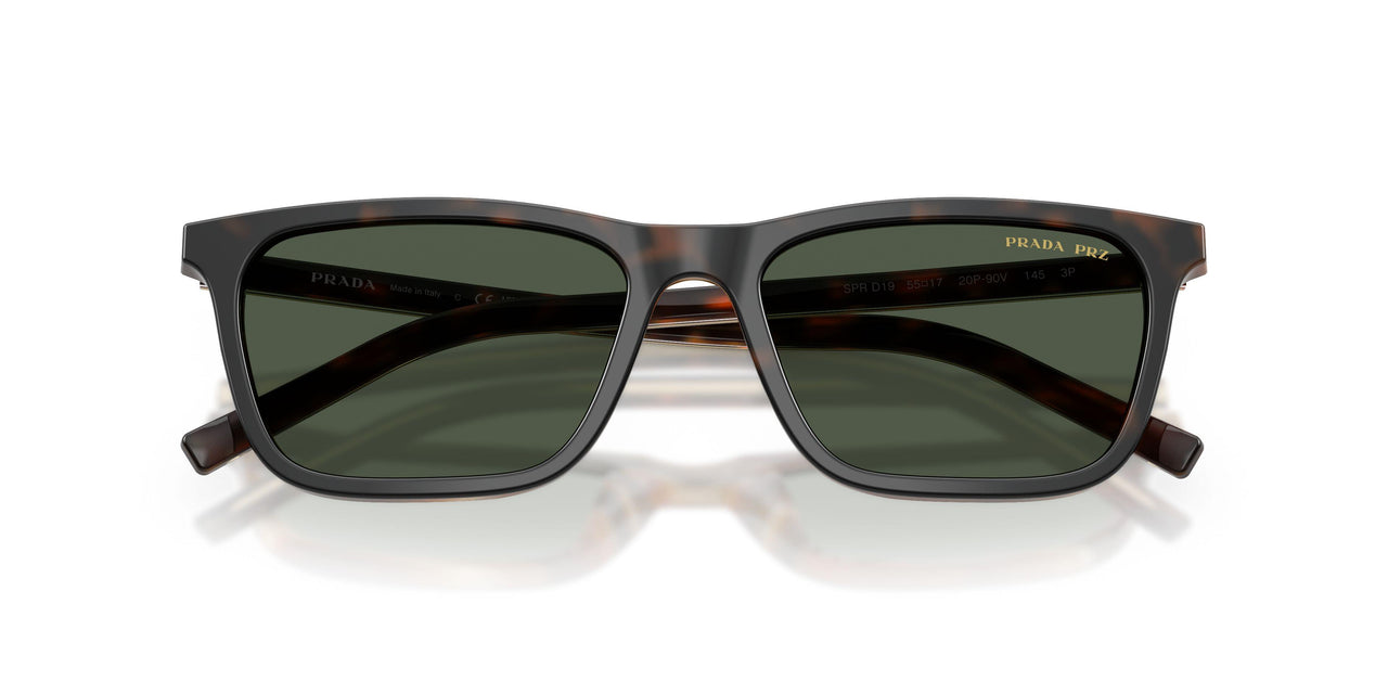 20P90V - Tortoise - Dark Green Polarized