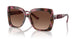 3998T5 - Tortoise - Brown Gradient Polarized