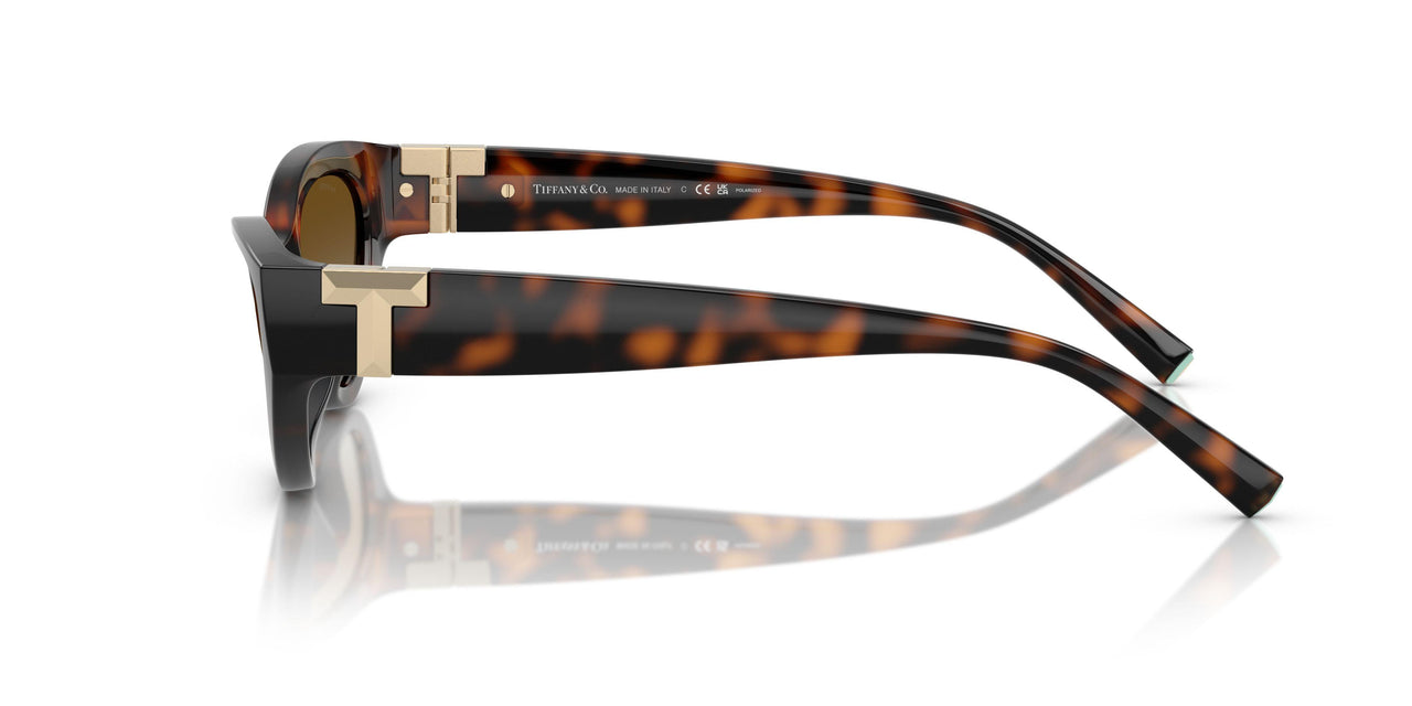 8015T5 - Tortoise - Polar Brown Gradient