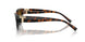 8015T5 - Tortoise - Polar Brown Gradient