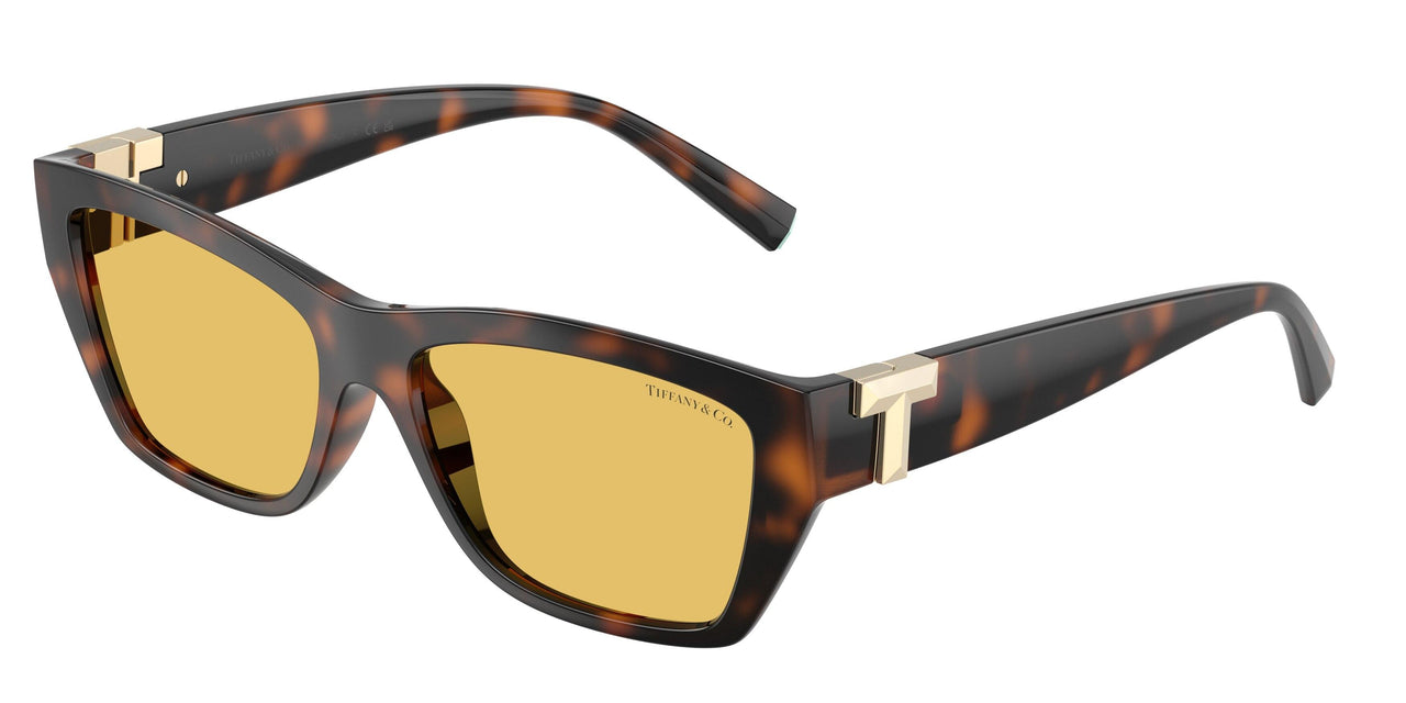 845685 - Tortoise - Yellow