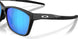 950601 - Black - Prizm Sapphire Polarized