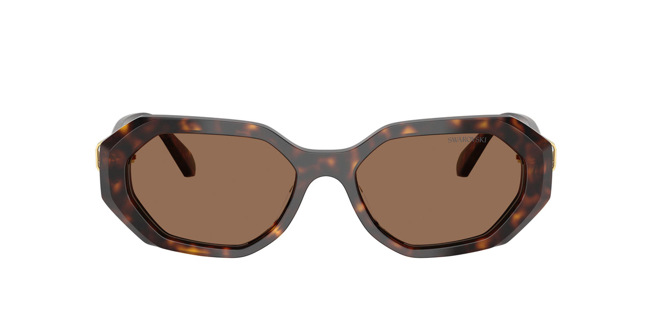 100273 - Brown - Dark Brown