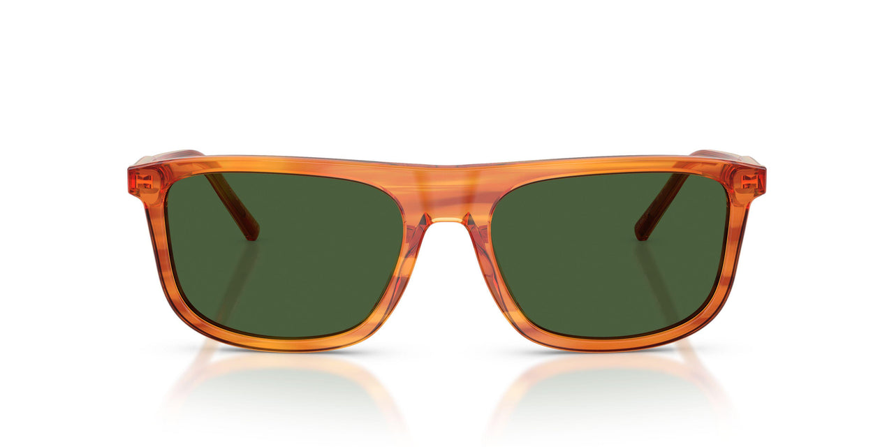 348371 - Brown - Dark Green