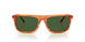 348371 - Brown - Dark Green