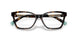 8015 - Tortoise