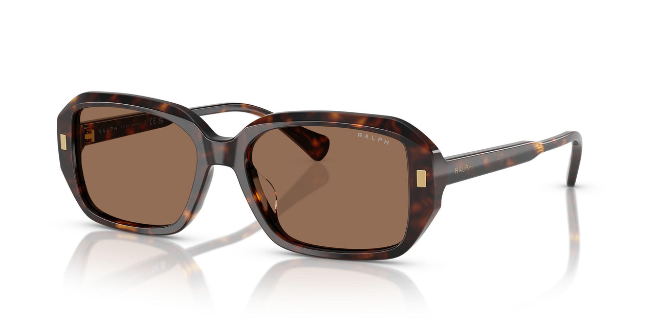 500373 - Tortoise - Brown