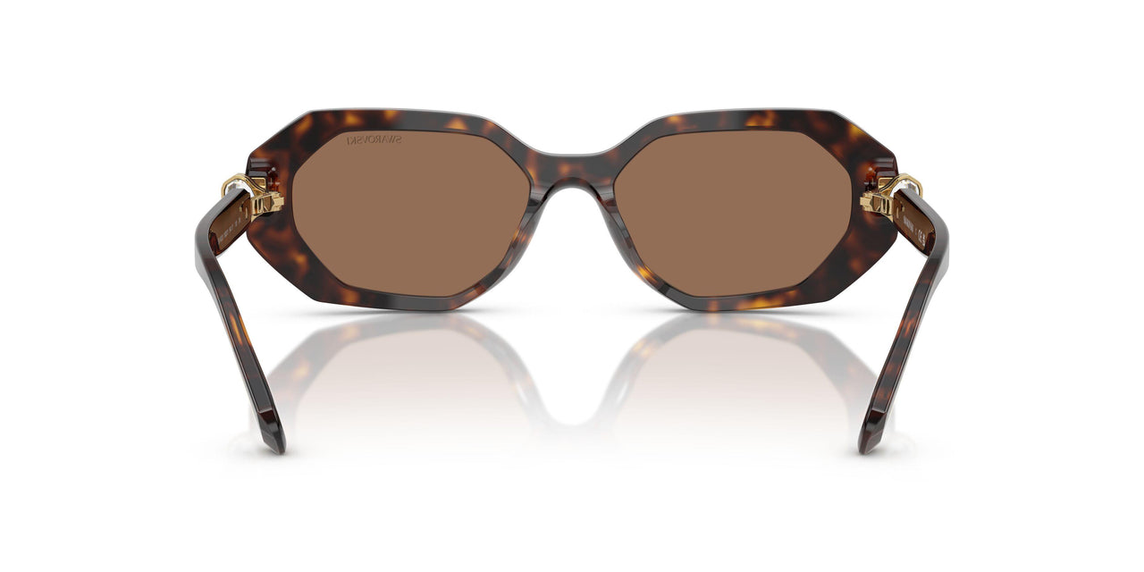 100273 - Brown - Dark Brown