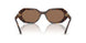 100273 - Brown - Dark Brown
