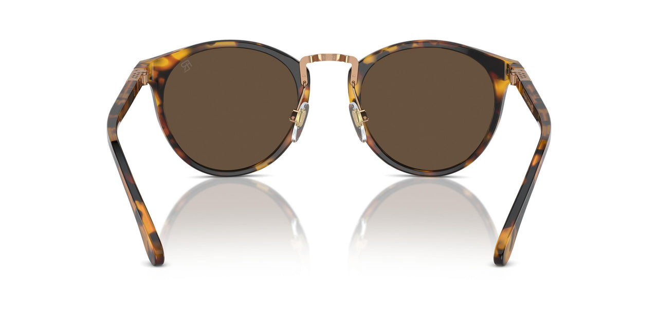 513453 - Tortoise - Brown