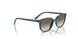 713011 - Green - Grey