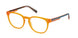 Timberland 50013 Eyeglasses