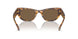 104073 - Tortoise - Dark Brown