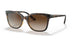 W65613 - Havana - Brown Gradient