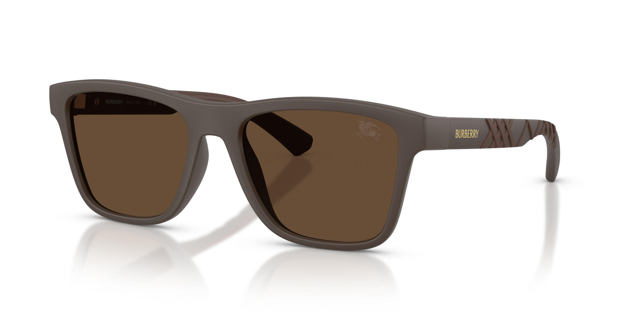 423473 - Brown - Dark Brown