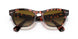 954/57 - Striped Havana - Polar Brown