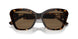 500373 - Tortoise - Brown