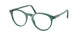 Polo 2083 Eyeglasses