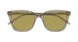 005 - Brown - Green