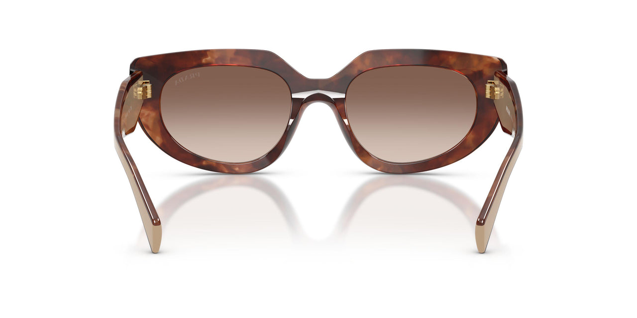 00K10S - Tortoise - Brown Gradient