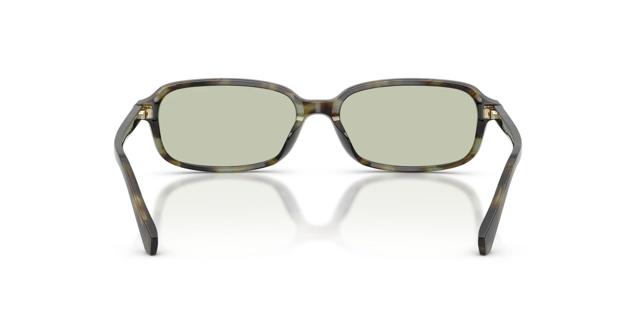 3947/2 - Tortoise - Green