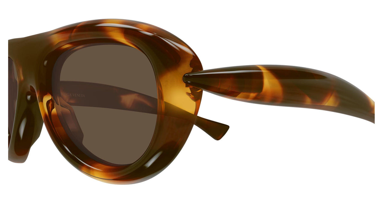 002 - Havana - Brown