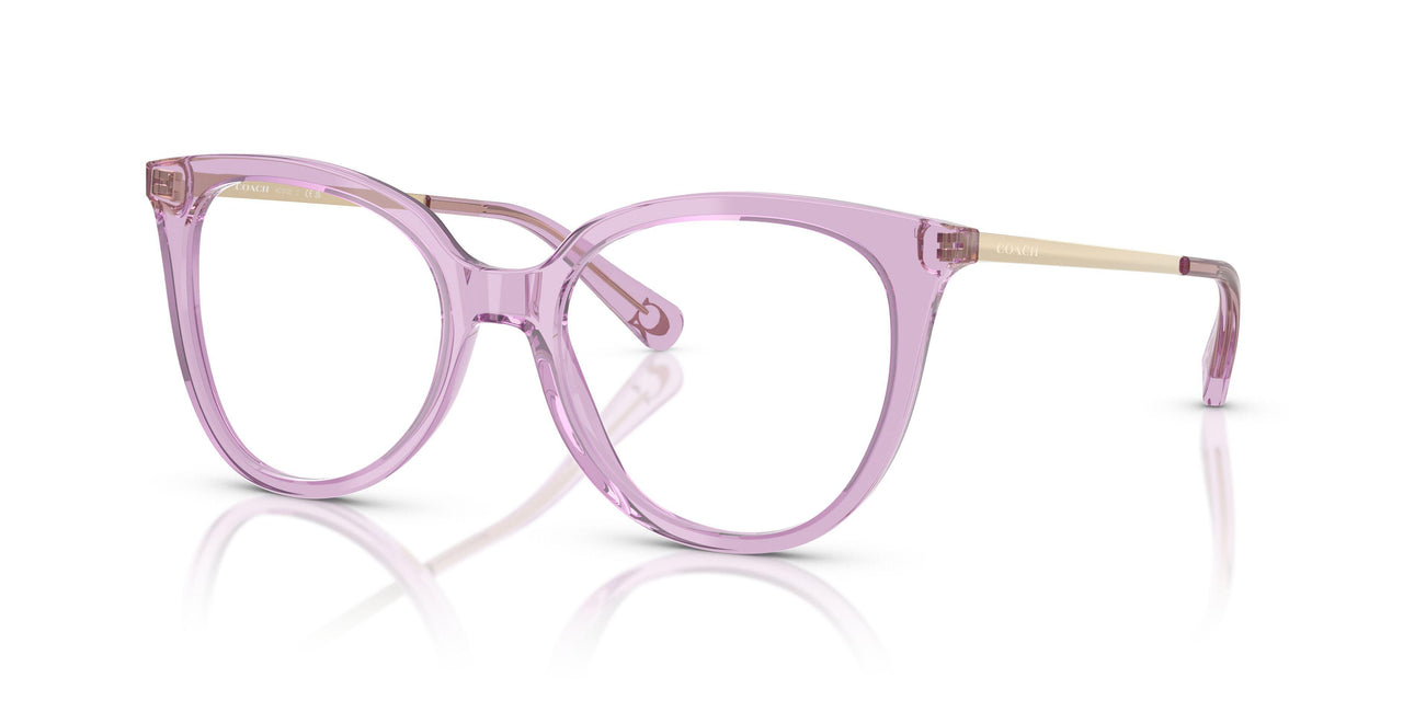 5400 - Violet