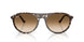 143151 - Yellow - Clear Gradient Brown