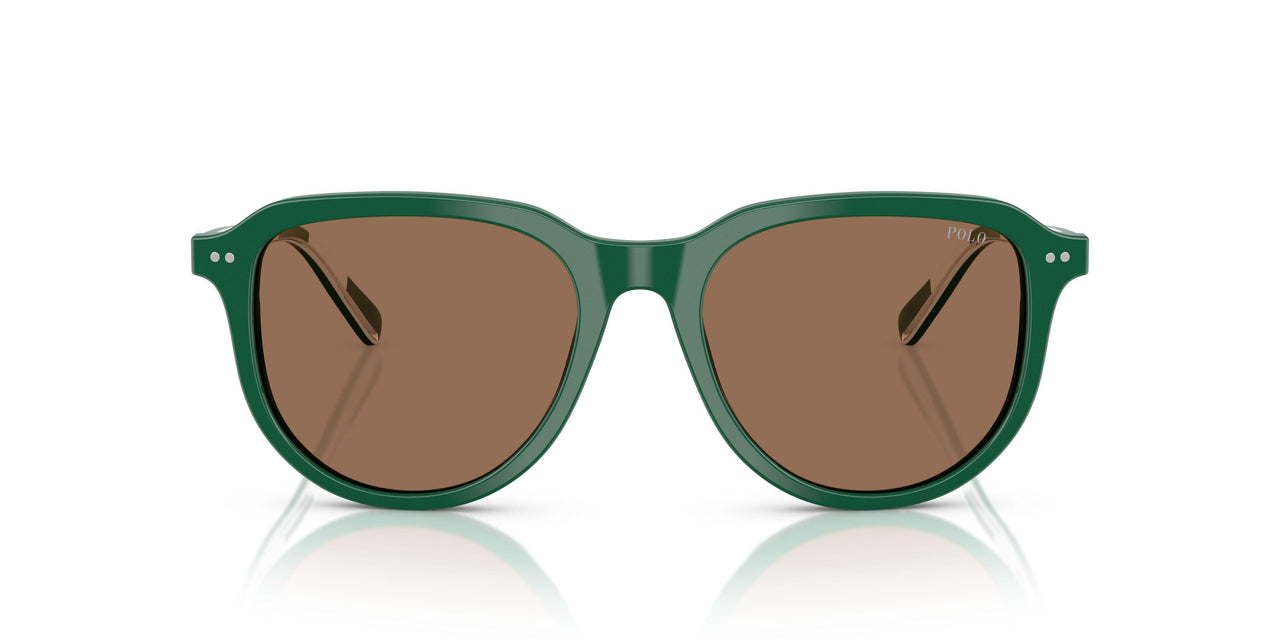 542173 - Green - Dark Brown