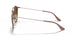 907151 - Light Brown - Clear Gradient Brown