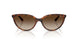 W65613 - Brown - Gradient Brown