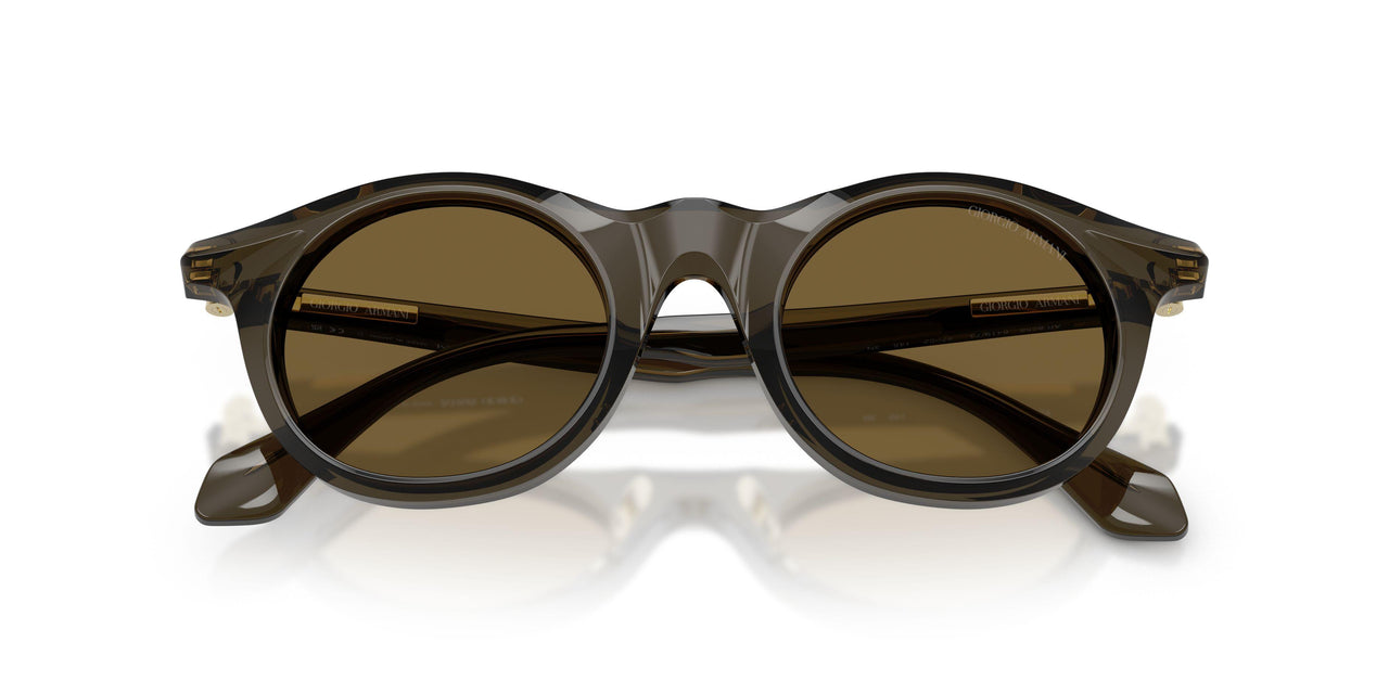 641973 - Green - Dark Brown