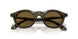 641973 - Green - Dark Brown