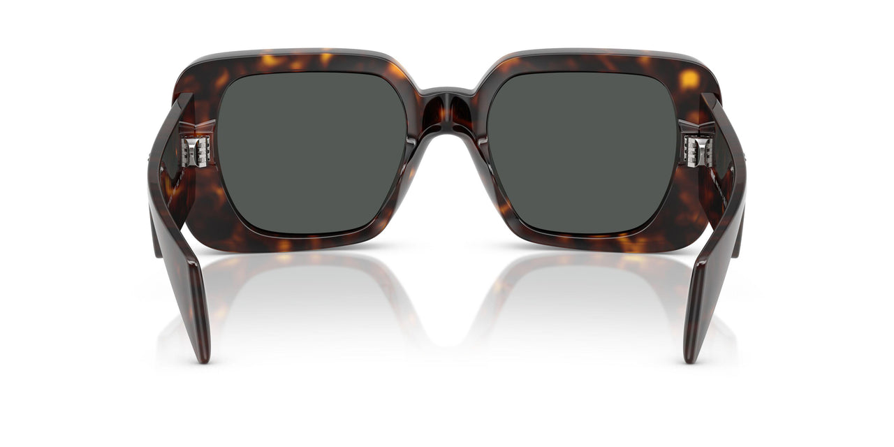 108/87 - Tortoise - Dark Grey