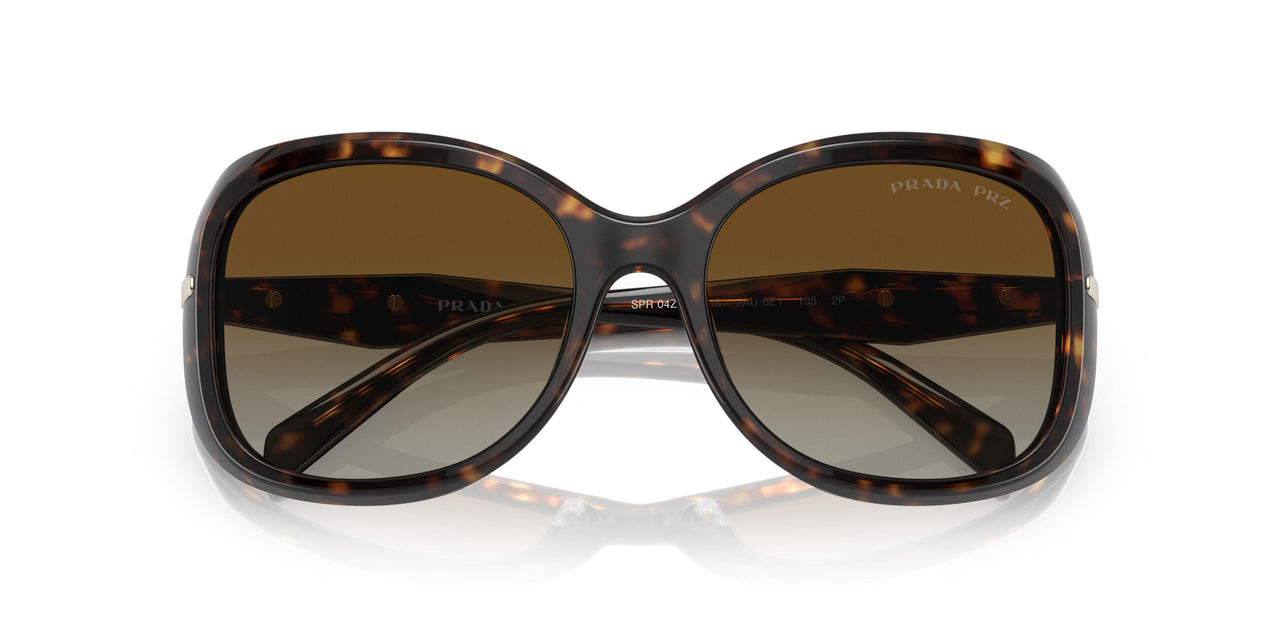 2AU6E1 - Havana - Polar Brown Gradient