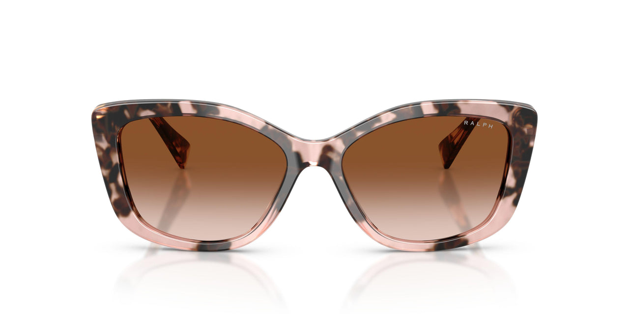 605813 - Tortoise - Gradient Brown