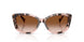 605813 - Tortoise - Gradient Brown