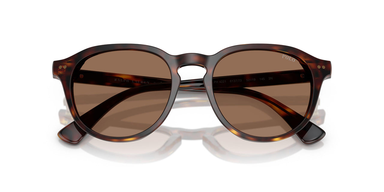 613773 - Tortoise - Dark Brown