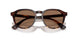613773 - Tortoise - Dark Brown