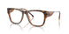 2050 - Brown