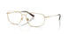Polo 1247 Eyeglasses