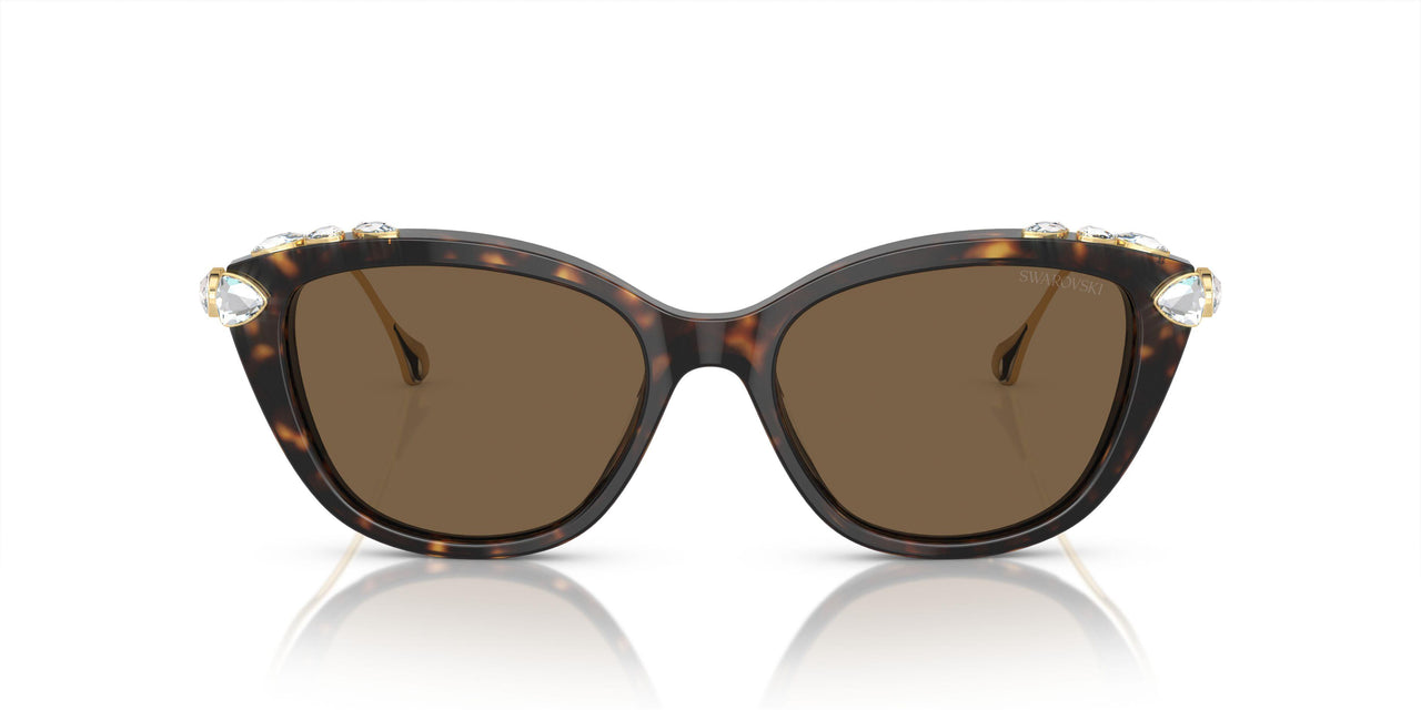 100273 - Tortoise - Dark Brown